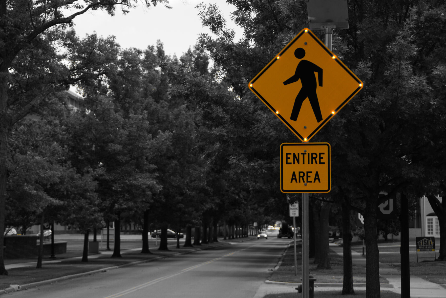 Pedestrian sign